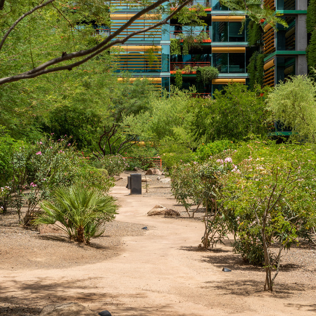 Optima Sonoran Village - Apartment Trees