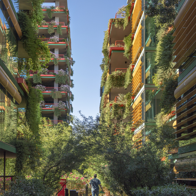 Optima Sonoran Village - Apartment Pathway