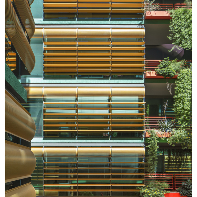 Optima Sonoran Village - View of the Apartment Window