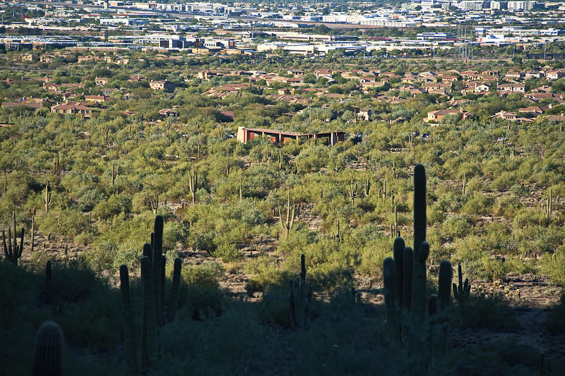 Discover the McDowell Sonoran Preserve