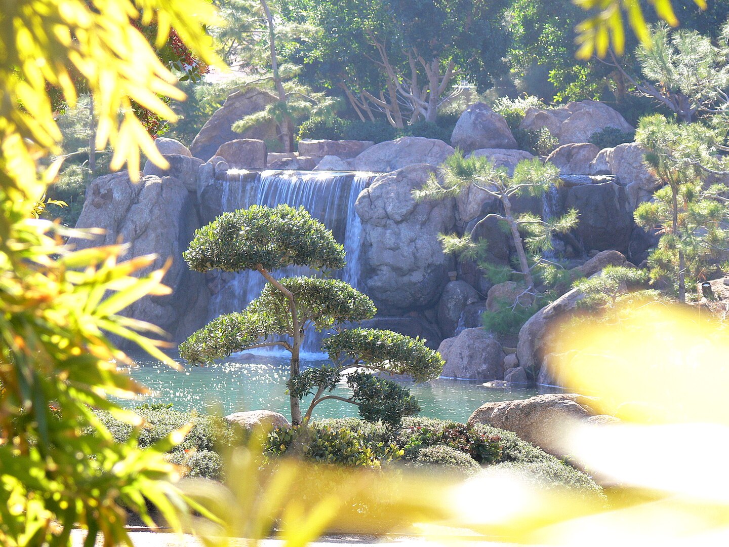 Discovering Tranquility: The Japanese Friendship Garden of Phoenix