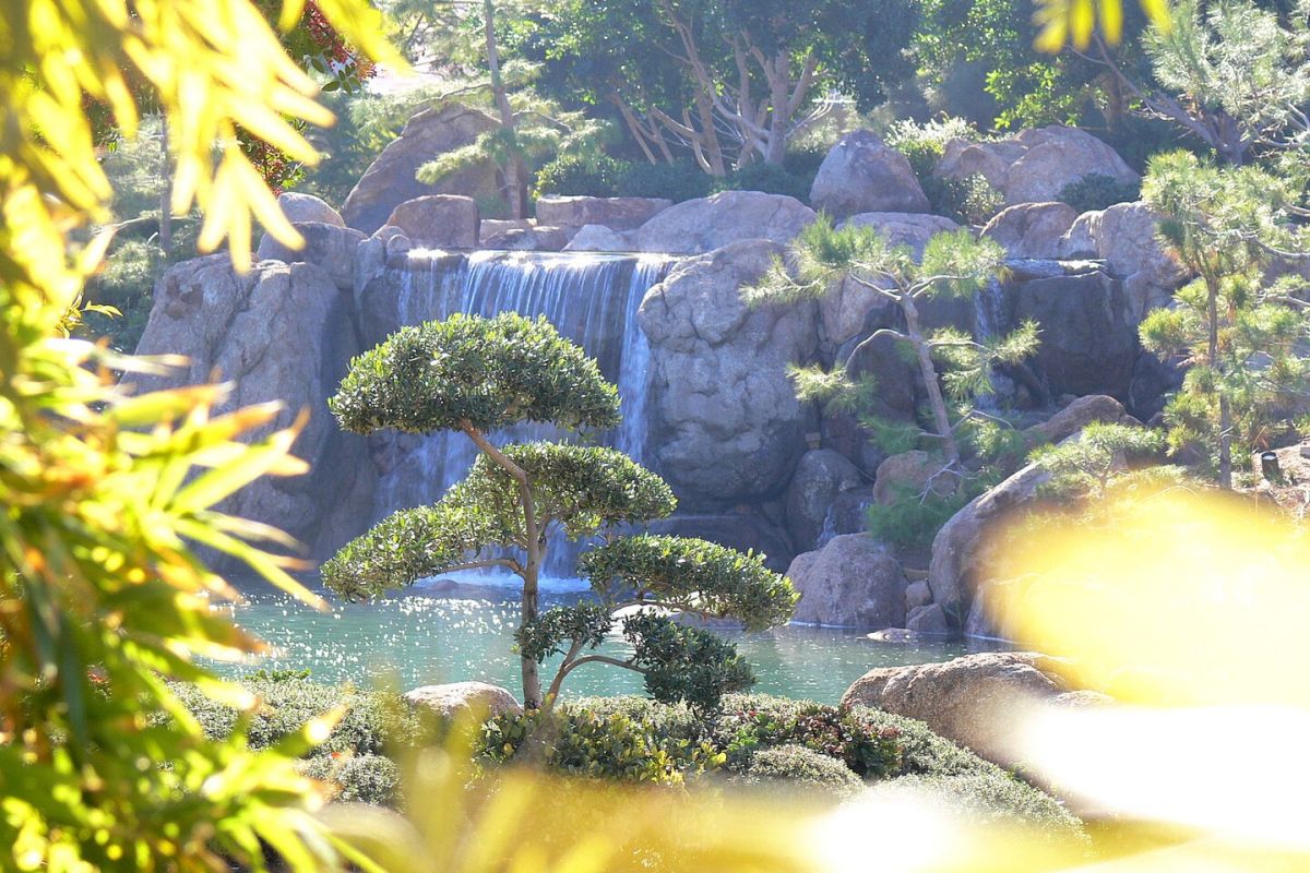 A small waterfall flows into a pond, framed by rocks and trees in the tranquil Japanese Friendship Garden, Phoenix.