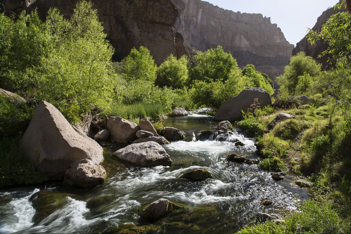 A river flows through a rocky, green canyon with sunlight illuminating trees—Arizona conservation helps Preserve and Protect these stunning cliffs.