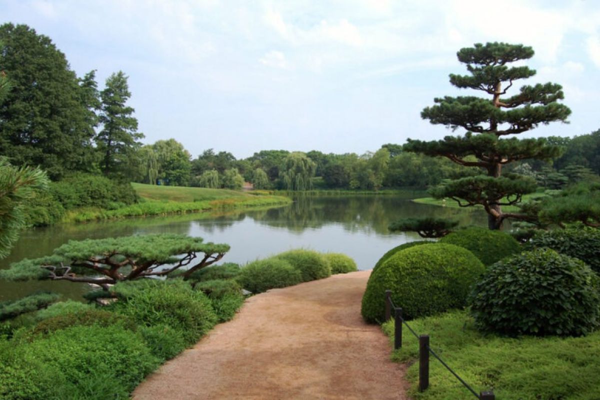 Pathway in a Japanese garden beside a calm pond, surrounded by sculpted trees and lush greenery—perfect for serene autumn travel.