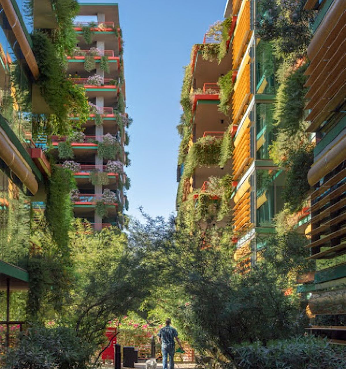 A person walks a dog between tall Scottsdale apartment buildings covered in lush greenery under a clear blue sky.