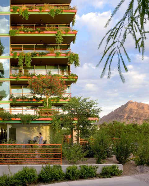 Optima Sonoran Village modern apartment building with lush greenery on balconies, mountain in background, person visible near the entrance.