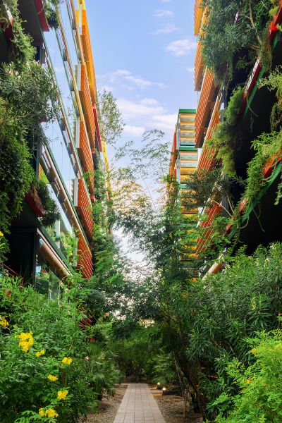 A walkway between two modern buildings covered with lush green plants and trees under a blue sky.