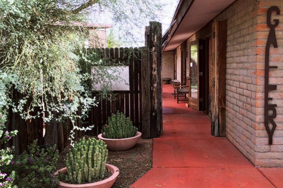Hidden Gems: Discover Joan Waters at Cattle Track Arts & Preservation