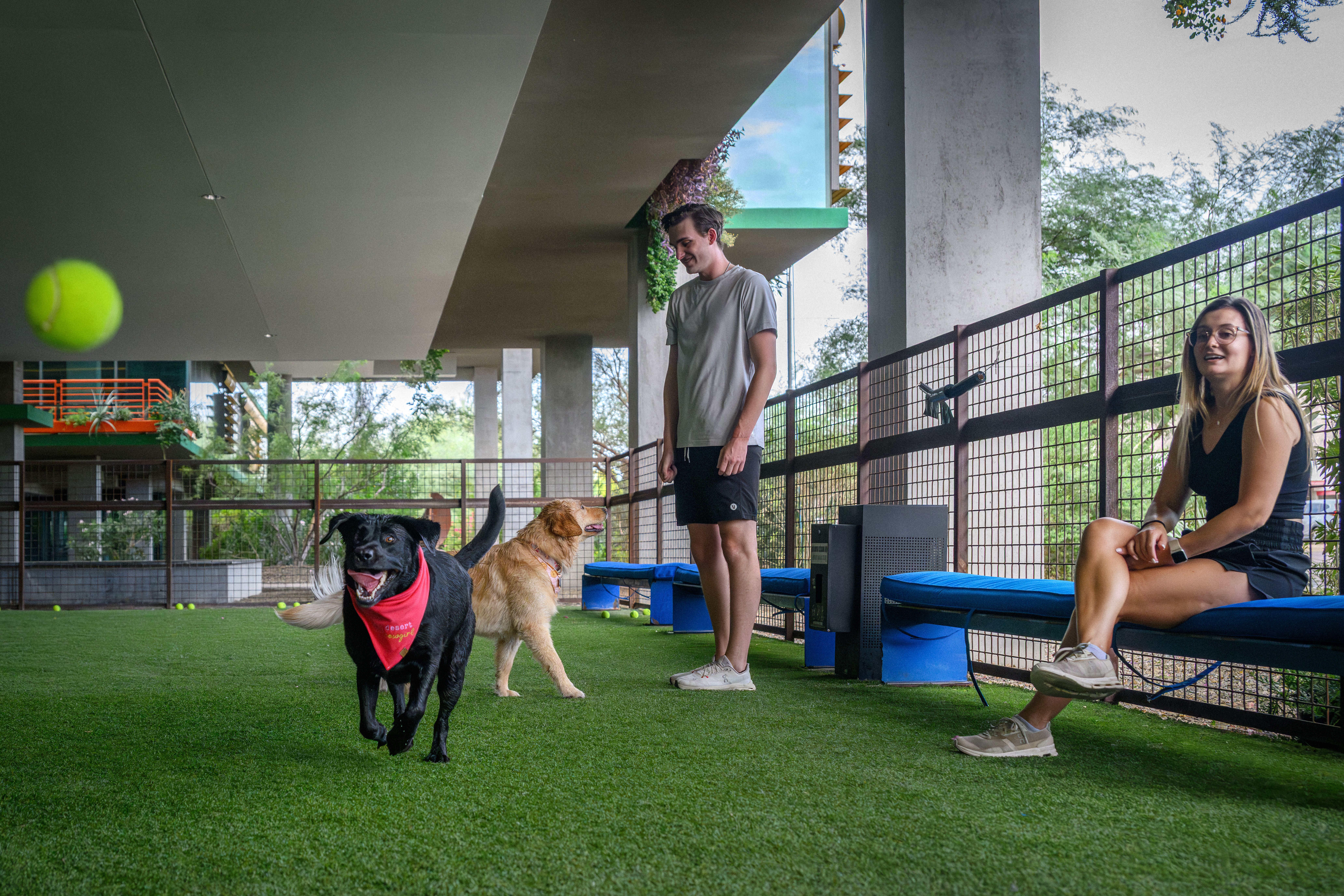 Covered & Lit Pet Park