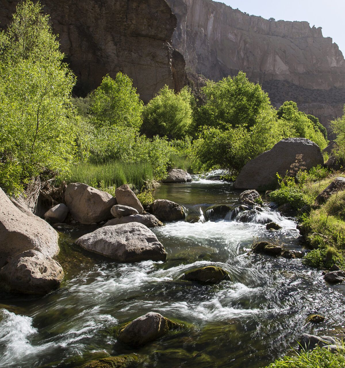 A river flows through a rocky, green canyon with sunlight illuminating trees—Arizona conservation helps Preserve and Protect these stunning cliffs.