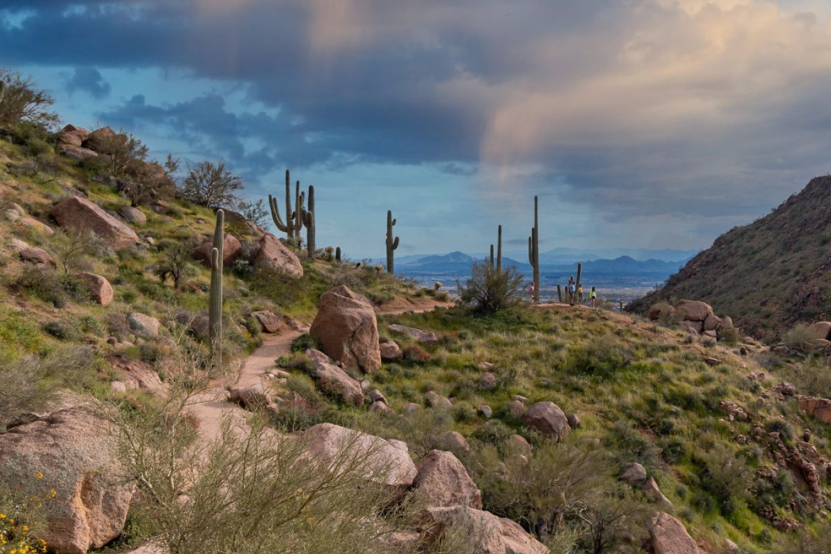 Winter hiking on trails near Scottsdale features a desert path winding through hills with cacti, rocks, and a cloudy sky in the background.