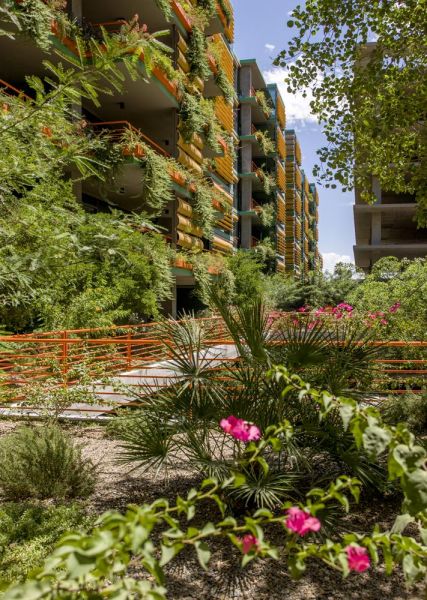 Green building with vertical gardens, surrounded by lush plants and flowers, under a clear blue sky at Optima Sonoran Village apartments.