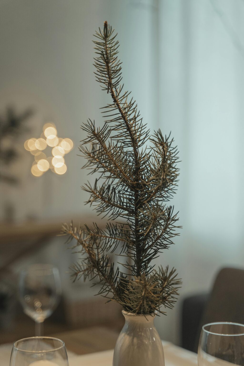 A small pine branch in a vase on a table—holiday decorating inspiration for modernist interiors, with blurred lights and wine glasses behind.