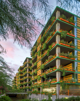 Modern apartment building with yellow accents and green plants on balconies features desert design and climate adaptation at sunset.