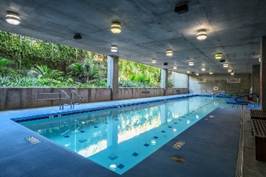 Indoor swimming pool with lush greenery visible through an open wall.