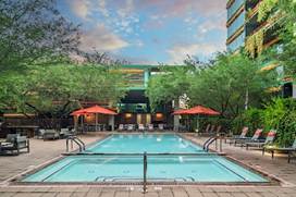 A resort pool and hot tub with lounge chairs and umbrellas are surrounded by trees.