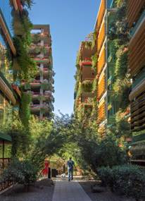 A person walks between two green-covered apartment buildings on a sunny day.
