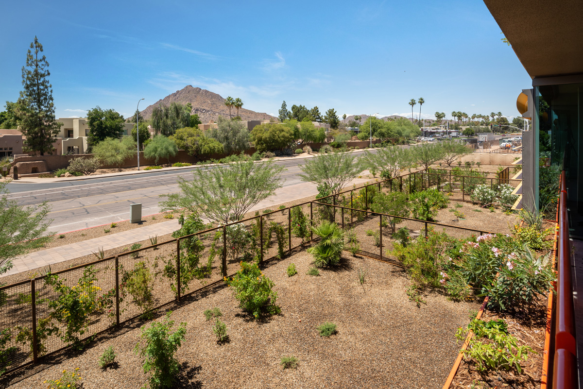 View of a desert landscape near Optima Sonoran Village, with sparse greenery, a road, and mountains—perfect for pet-friendly strolls under clear skies.