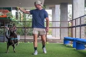 Man in shorts and a cap plays fetch with an excited dog outdoors on a grassy area.