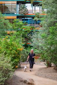 Woman walks a small white dog on a garden path, modern building with balconies and greenery in the background.