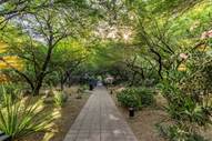 A paved garden path lined with lush green trees, shrubs, and some flowering plants in daylight.